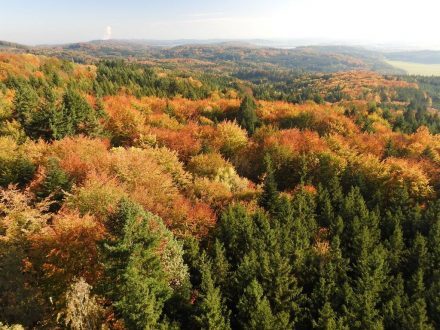 V týdnu od 26. 10. do 1. 11. zavřená škola.